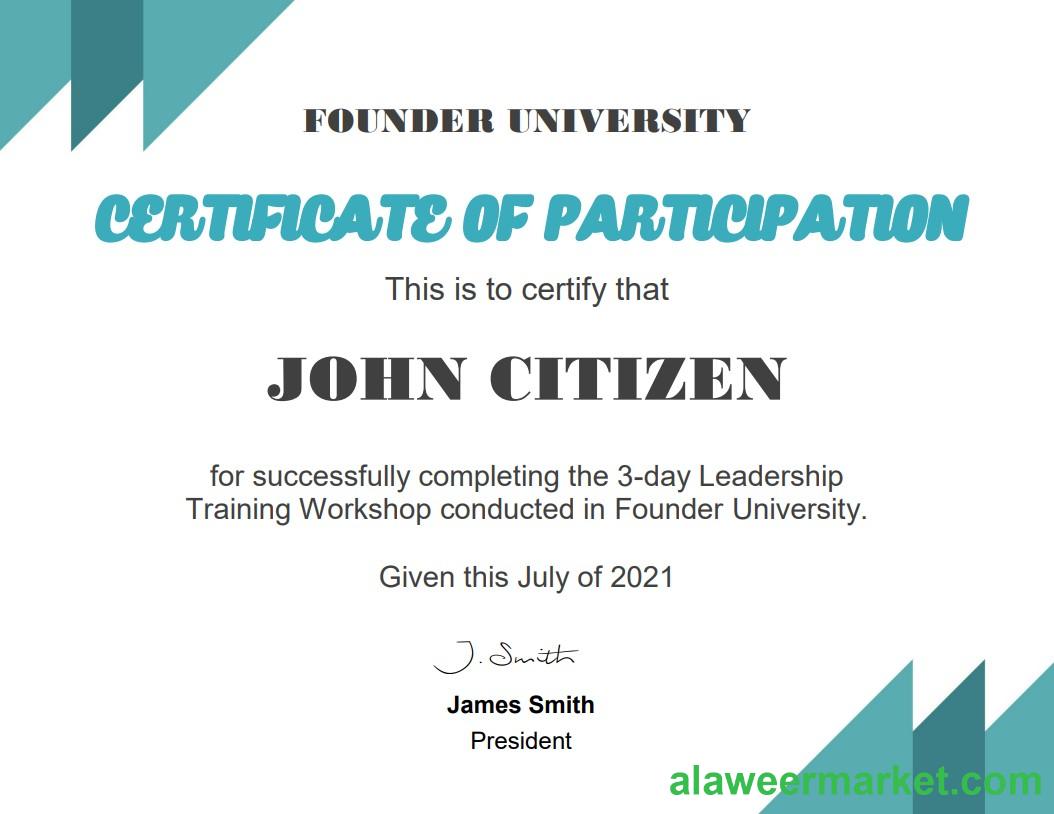 USA Business School Cert